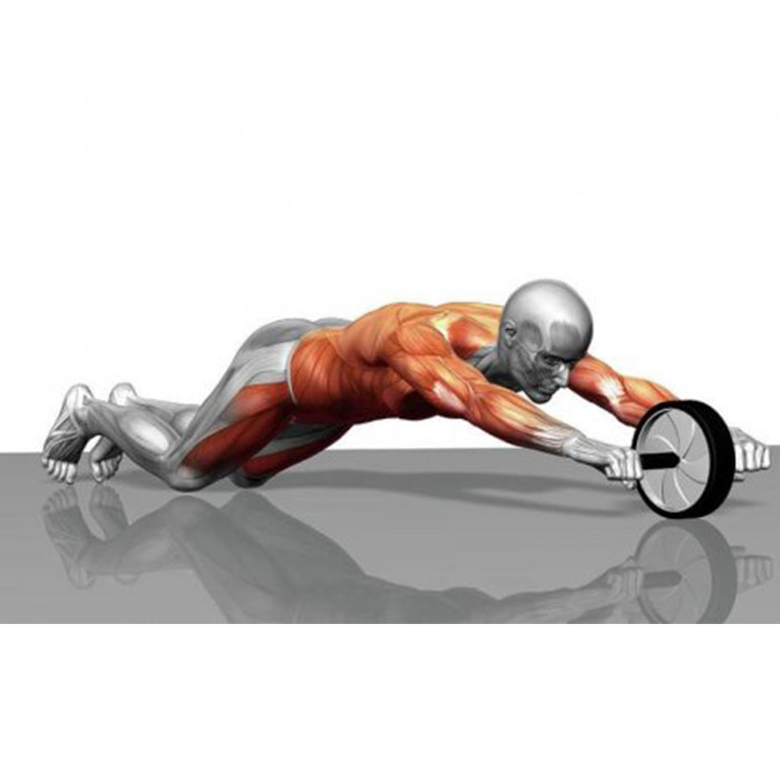 AbTrainer, kolešček za vadbo z obloženimi ročaji - Image 9