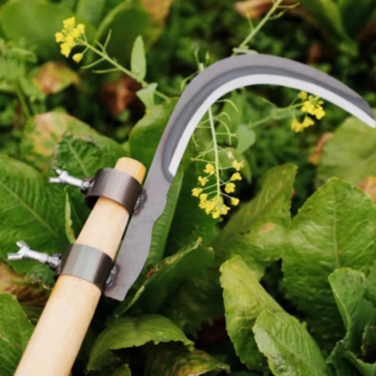 AgroTool, kosa za veje, plevel, trnje in rastje - Image 10