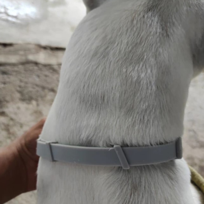 AnimalProtect, ovratnica proti klopom in bolham za pse - Image 2