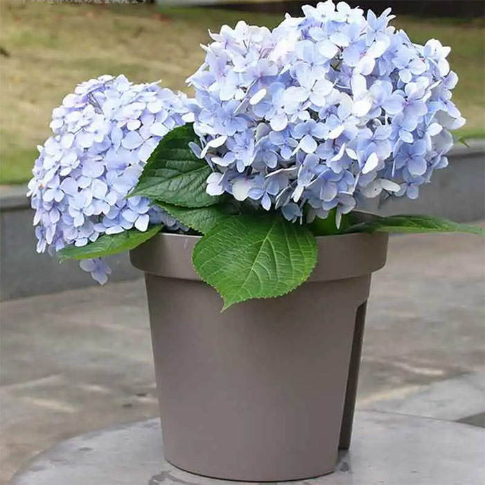 BalconyPots, balkonski lonci za rože (2 kosa) - Image 4