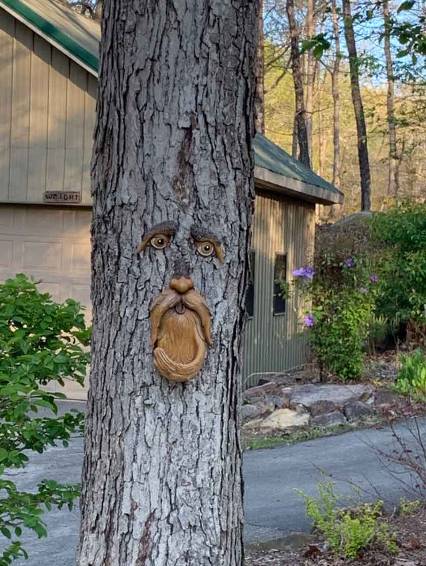 BirdFeeder, dekoracija za drevo v obliki obraza, ki je hkrati hranilnica za ptice - Image 8