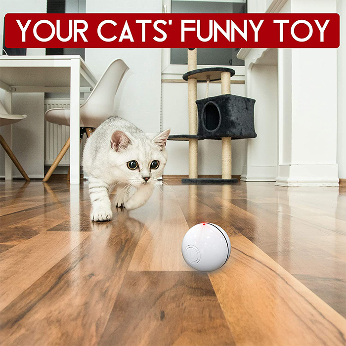CatToy, igrača za mačko, ki beži in maha s peresom - Image 7