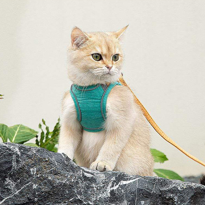 CatVest, oprsnica s povodcem za mačke - Image 3
