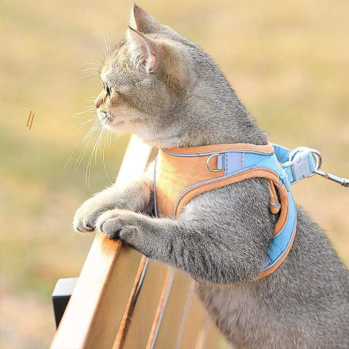 CatVest, oprsnica s povodcem za mačke - Image 4