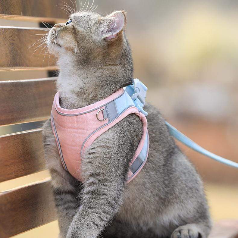 CatVest, oprsnica s povodcem za mačke - Image 5
