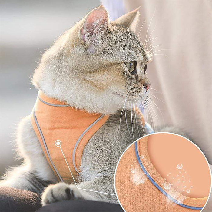 CatVest, oprsnica s povodcem za mačke - Image 9