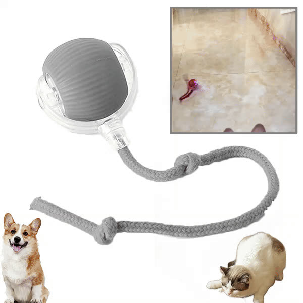 DOGTOY, ChewiePlay interaktivna žogica - video