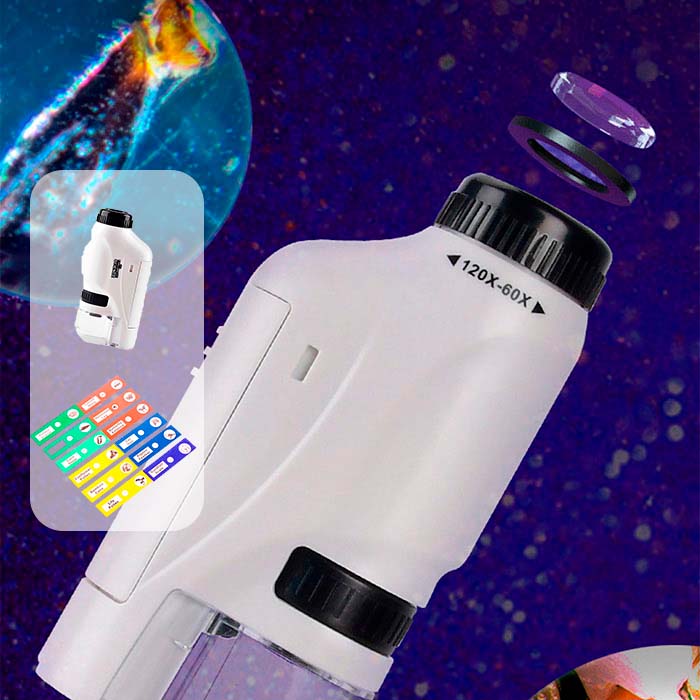 DiscoverBundle, prenosni otroški mikroskop + 12-delni komplet ploščic za opazovanje - Image 5