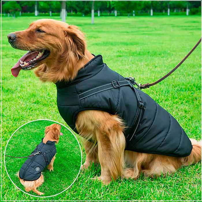 DogJacket, odseven in vodoodporen zimski plašč za psa - Image 10