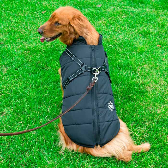 DogJacket, odseven in vodoodporen zimski plašč za psa - Image 11