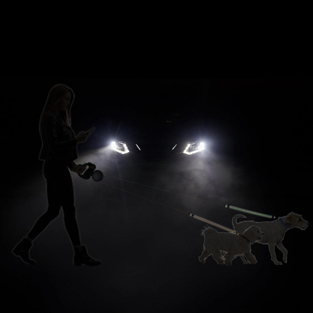 DoubleLeash, zložljiv povodec za dva psa - Image 10