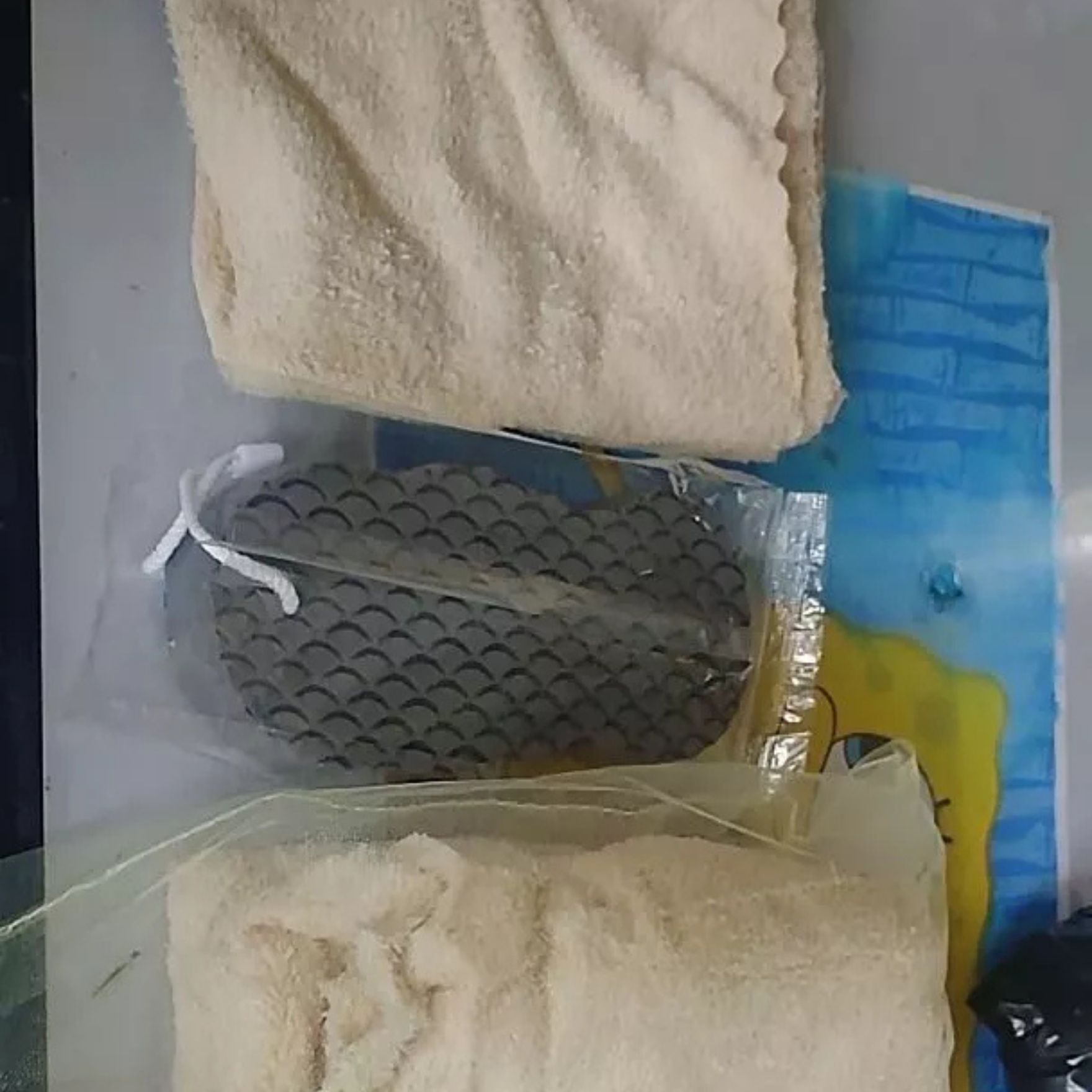 ExfoSponge, gobica za piling kože - Image 7