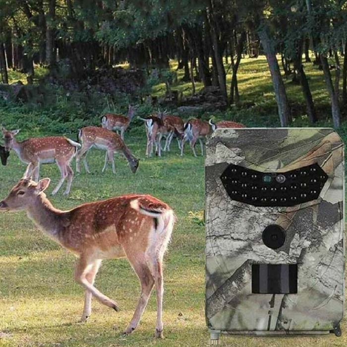 Visoka ločljivost posnetka