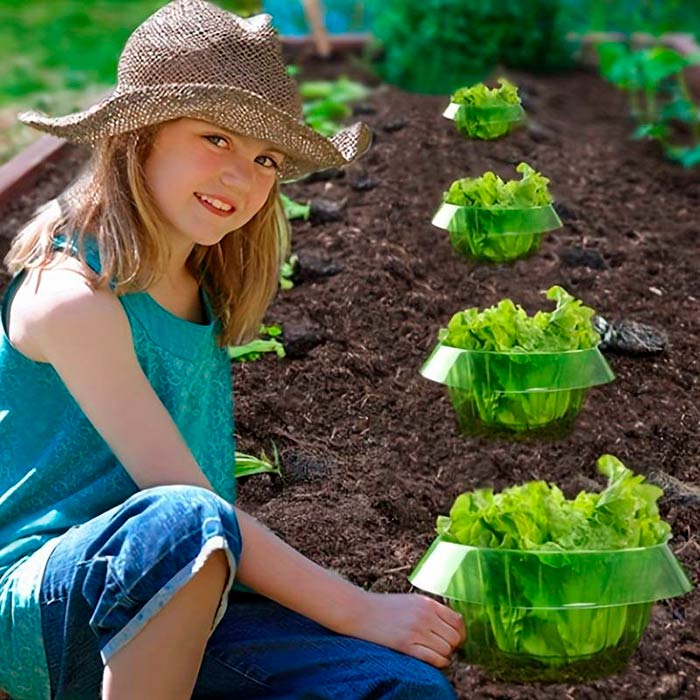 LettuceProtect, zaščita za solato in ostale pridelke (10 kosov) - Image 7
