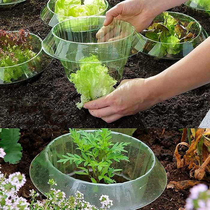 LettuceProtect, zaščita za solato in ostale pridelke (10 kosov) - Image 9