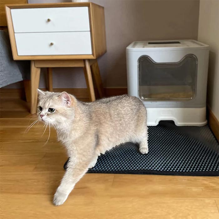 LitterMat, podloga za mačje stranišče, ki lovi pesek - Image 2