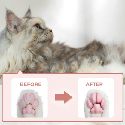 PAWTREAMER, PawPerfect Mini Trimer za Hišne Ljubljenčke - Image 4
