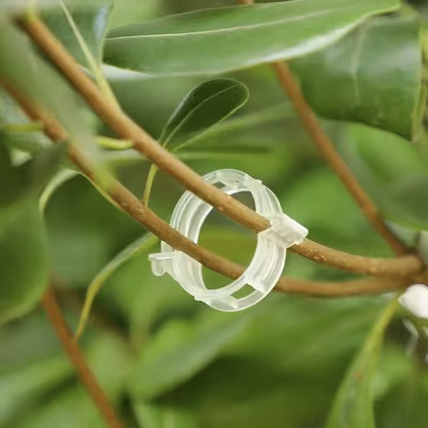 PLANTCLIP, GreenGrow Podpora za Rastline - 60 Sponk - Image 6