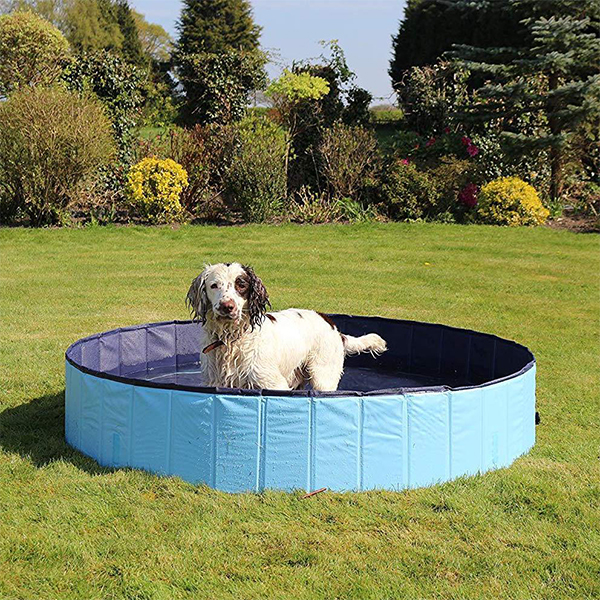 PawlyPool, večnamenski zložljivi bazen, ki se postavi brez napihovanja - Image 2