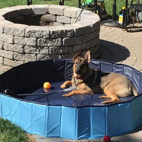 PawlyPool, večnamenski zložljivi bazen, ki se postavi brez napihovanja - Image 3
