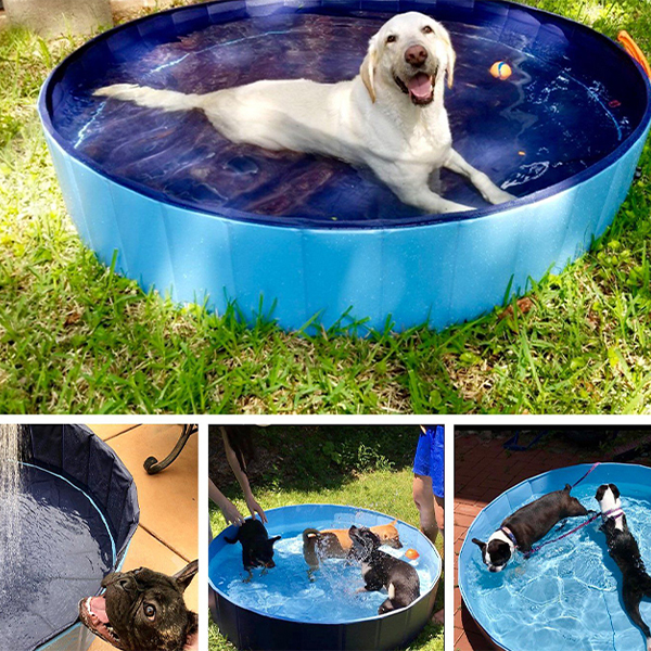 PawlyPool, večnamenski zložljivi bazen, ki se postavi brez napihovanja - Image 5