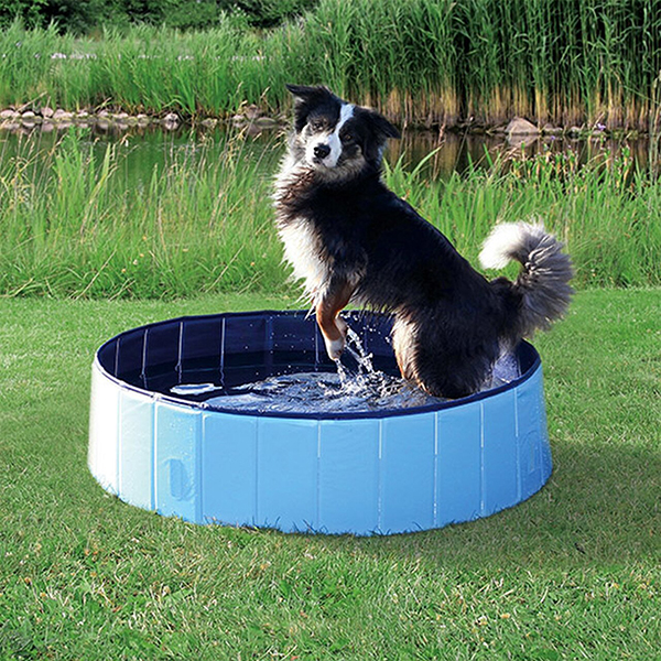 PawlyPool, večnamenski zložljivi bazen, ki se postavi brez napihovanja - Image 10