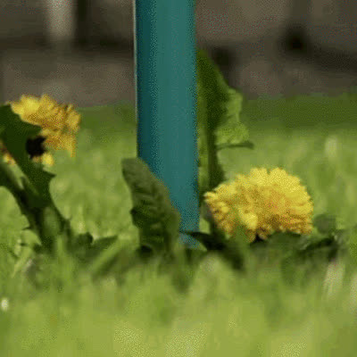 ROOTPULL, Odstranjevalec korenin iz nerjavečega jekla - video