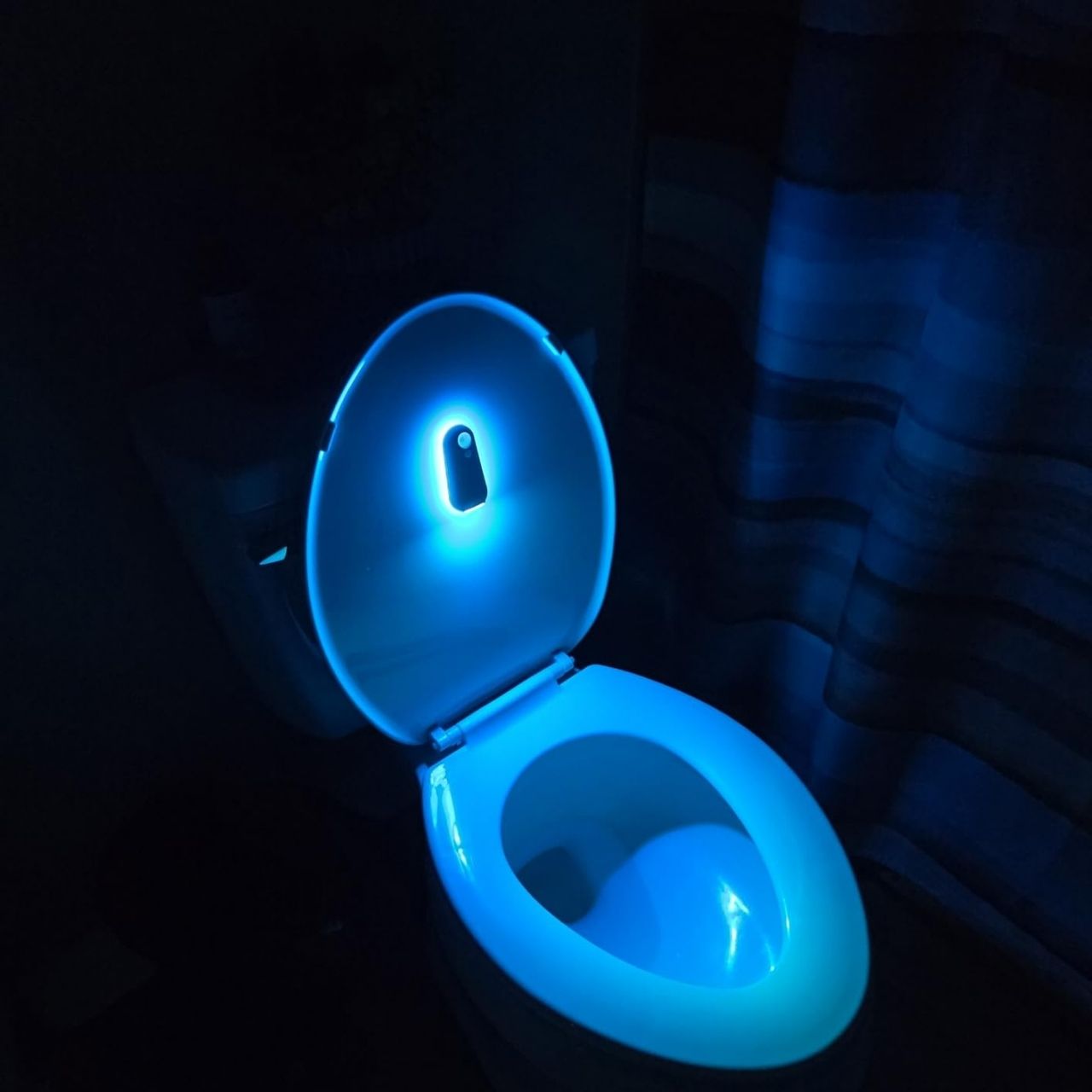 LED lučka s senzorjem gibanja za WC in dom, Toily - Image 3