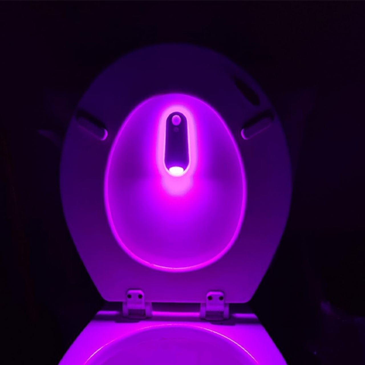 LED lučka s senzorjem gibanja za WC in dom, Toily - Image 4