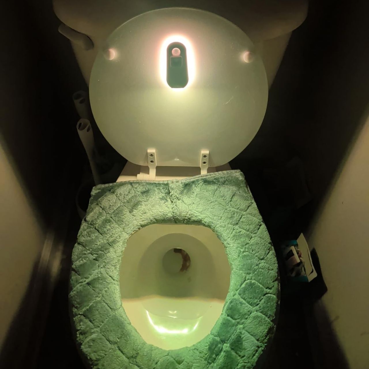 LED lučka s senzorjem gibanja za WC in dom, Toily - Image 7