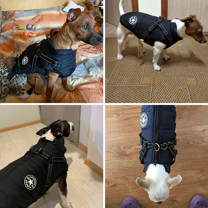 DogJacket, odseven in vodoodporen zimski plašč za psa - Image 8